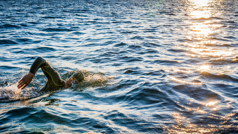 A Guide to Open Water Swims: Four Tips from Our Team